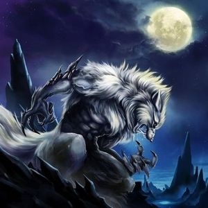 Meet your Posher, Jimmy